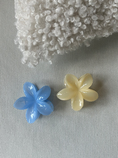 Pastel Hawaiian Flowers