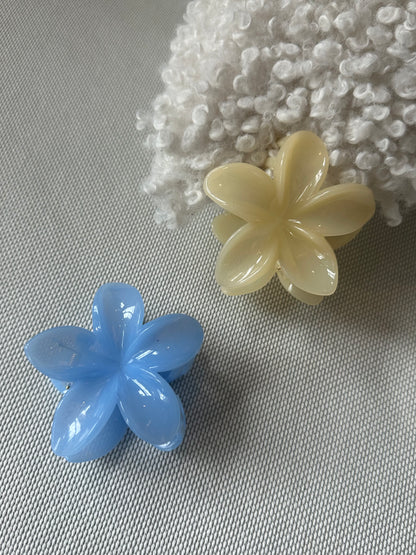 Pastel Hawaiian Flowers